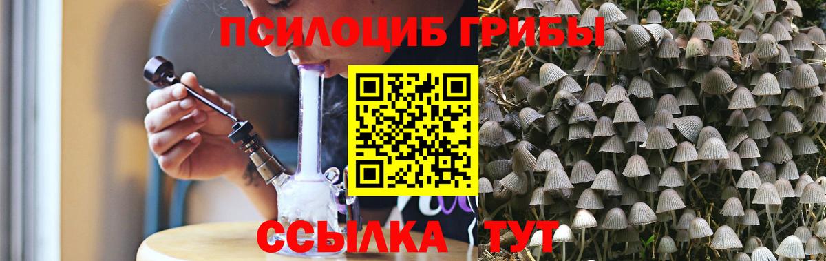 Гусиноозёрск  Галлюциногенные грибы мухоморы  Вход с VPN 